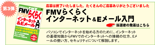 FMV�炭�炭�C���^�[�l�b�g&E���[������