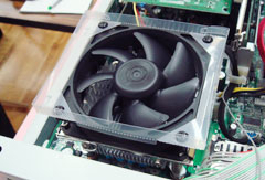 �q�[�g�V���N�t�@���̎ʐ^