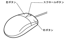 �摜