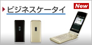 �r�W�l�X�P�[�^�C