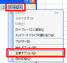 全般オプション