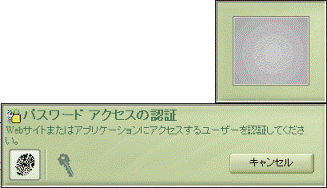 パスワードアクセスの認証