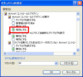 ActiveXコントロールとプラグインの実行