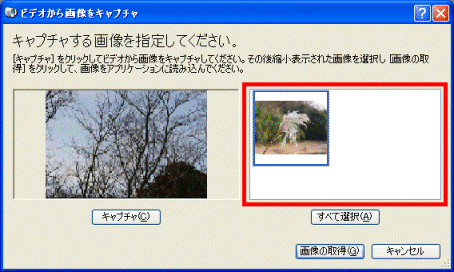 キャプチャされた画像