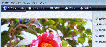 ギャラリーに戻る