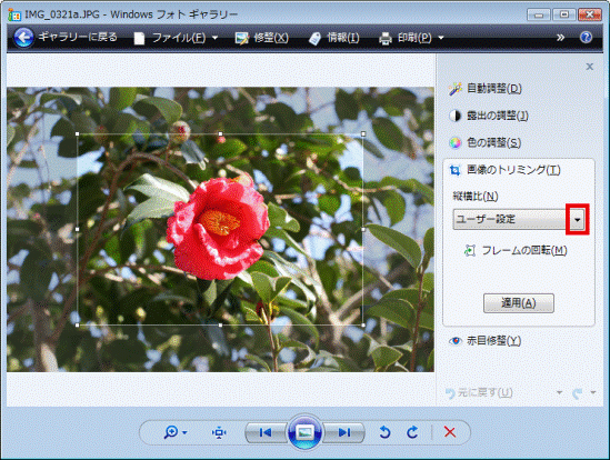 「縦横比」の「▼」ボタン