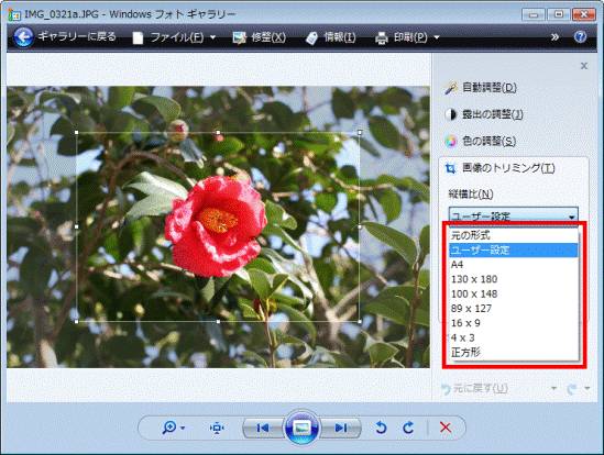 フレームの一覧