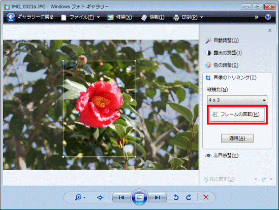 フレームの回転