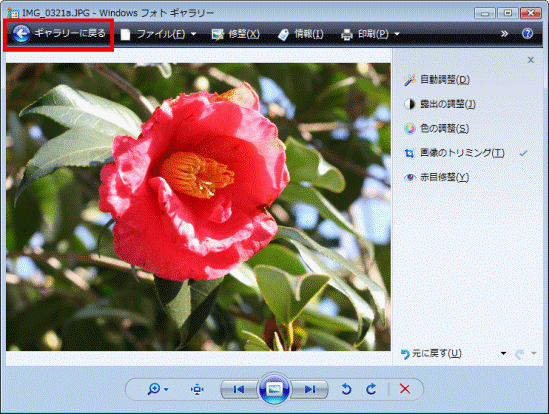 結果 - ギャラリーに戻る