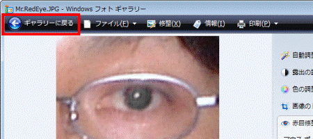 ギャラリーに戻る(赤目修整)