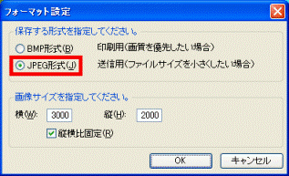 フォーマット設定
