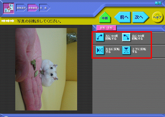 写真の回転をしてください。