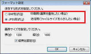 保存する形式を指定してください。