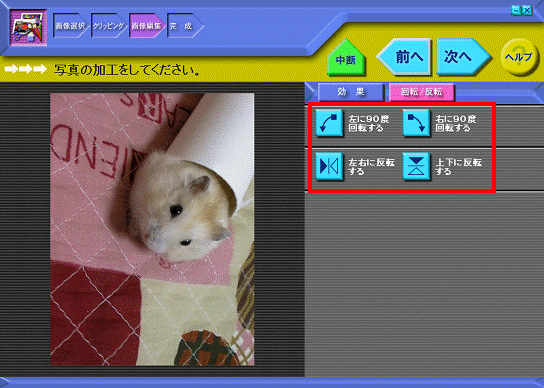 写真の回転をしてください。