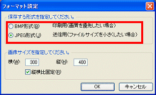 保存する形式を指定してください。