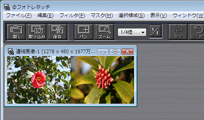 パノラマ画像の確認