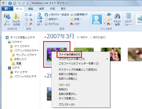 ファイルの表示