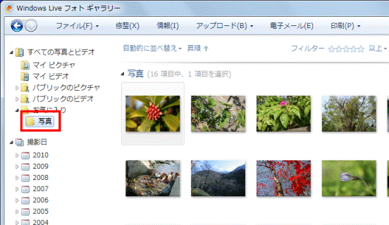 フォルダーの選択