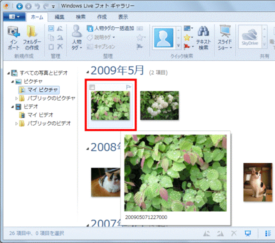 画像の上にマウスポインターを合わせる