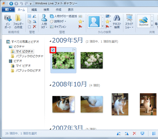 チェックを付ける