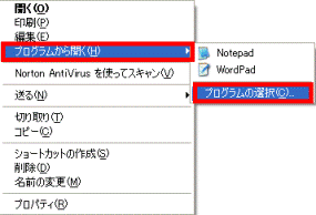 プログラムから開く