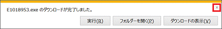 E1018953.exe のダウンロードが完了しました。