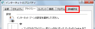 「詳細設定」タブ