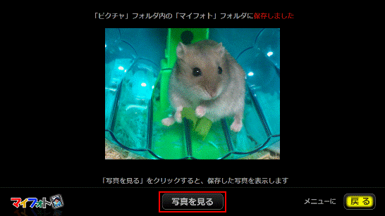 写真を見るボタンをクリック