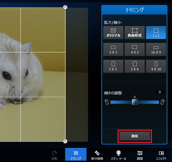 「適用」ボタンをクリック