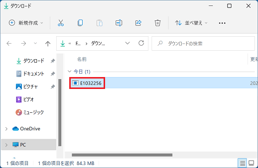 「E1032256」(または「E1032256.exe」)アイコン