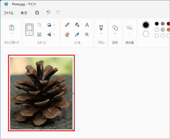 切り取った結果が表示される