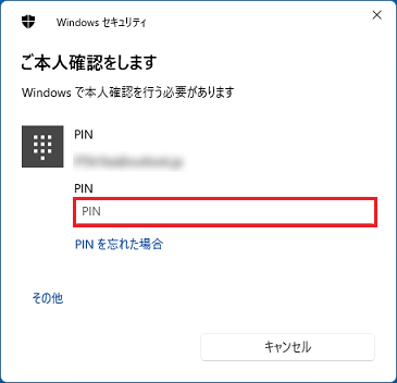 PINコードやパスワードを入力