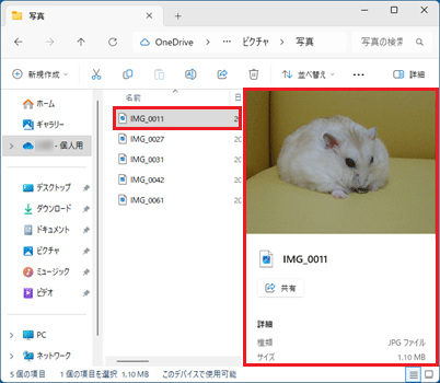 詳細ウィンドウの表示例