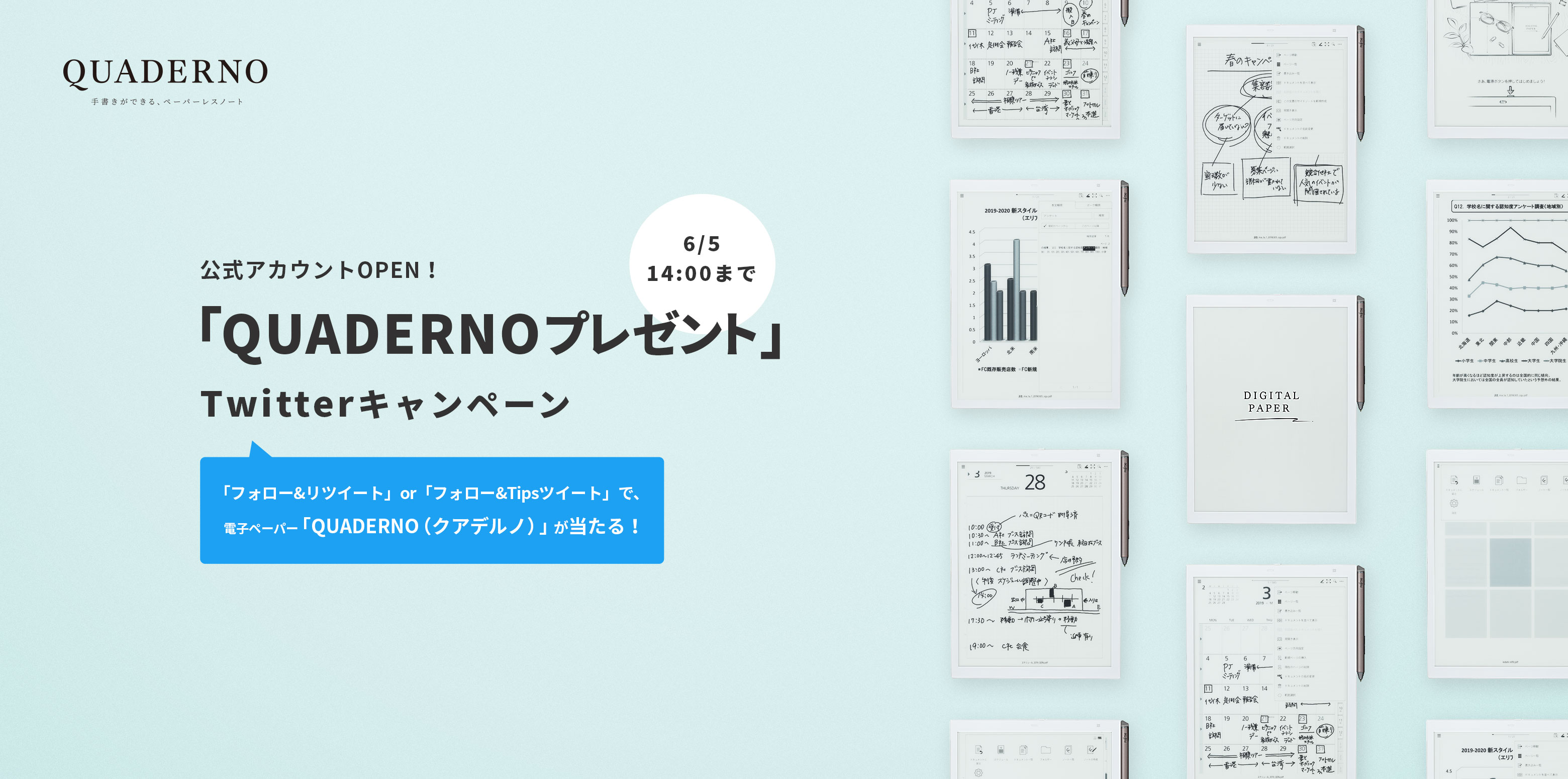 dqy[p[uQUADERNOṽLy[B6514܂ŁB