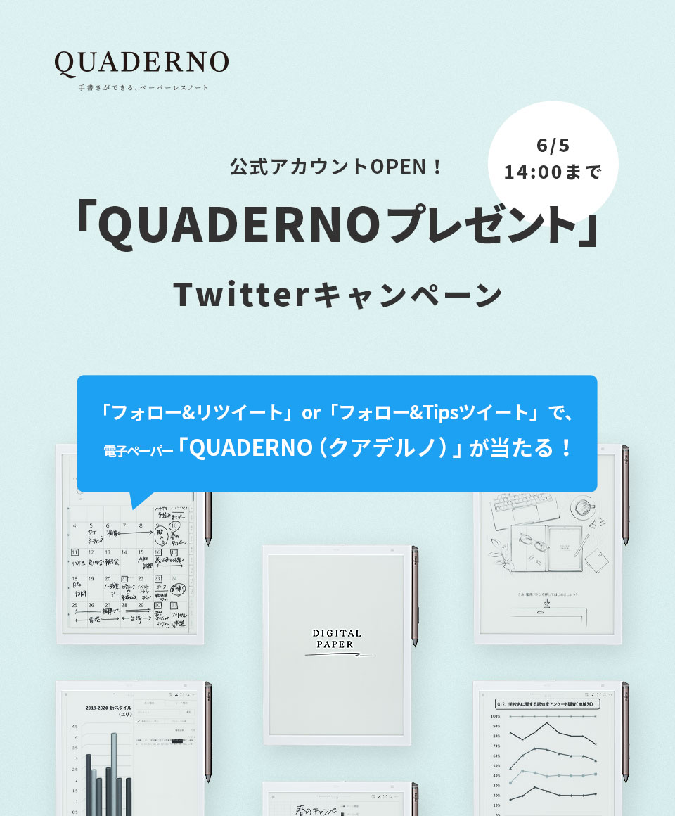 dqy[p[uQUADERNOṽLy[B6514܂ŁB