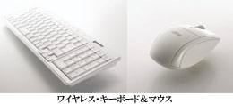2008�N�ă��f�� FMV-DESKPOWER F�i�f�X�N�p���[F�j�V���[�Y ���C�����X�E�L�[�{�[�h���}�E�X