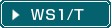 WS1/T