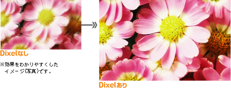 Dixel(ディクセル)フィルターの効果をわかりやすくしたイメージ写真