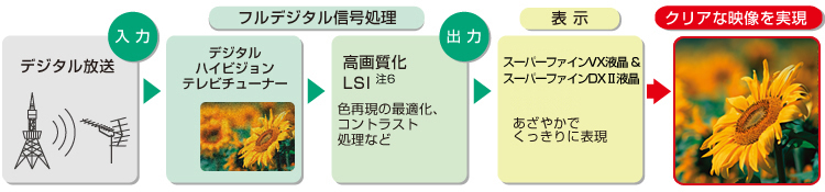 ́FfW^[tfW^M]fW^nCrW`[i[[o]掿LSI 6 FČ̍œKARgXgȂǁ[\]X[p[t@CVXtX[p[t@CDXIIt ₩łɕ\[NAȉf]