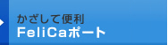 ĕ֗FeliCa|[g