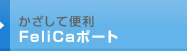 ĕ֗FeliCa|[g
