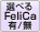 IׂFelicaL/