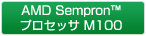AMD Sempron™ vZbT M100