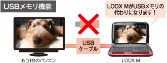 USB@\ LOOX MUSB̑ɂȂ܂I
