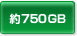 750GB