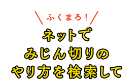 ネットでみじん切りのやり方を検索して