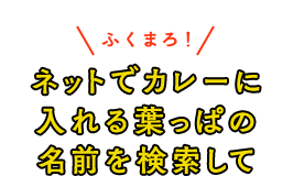ネットでカレーに入れる葉っぱの名前を検索して