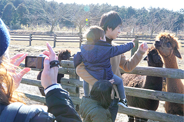 �e�o�J�e���r�W����Movie