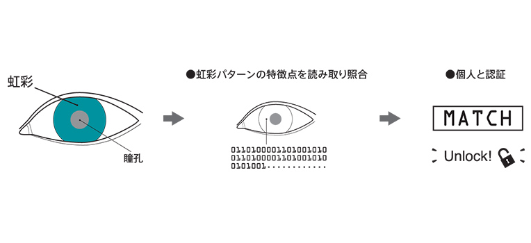  E ʃp^[̓_ǂݎƍ lƔF