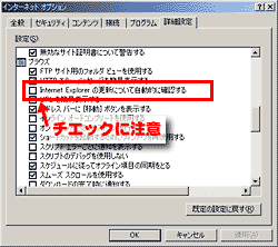 �C���^�[�l�b�g�I�v�V�������